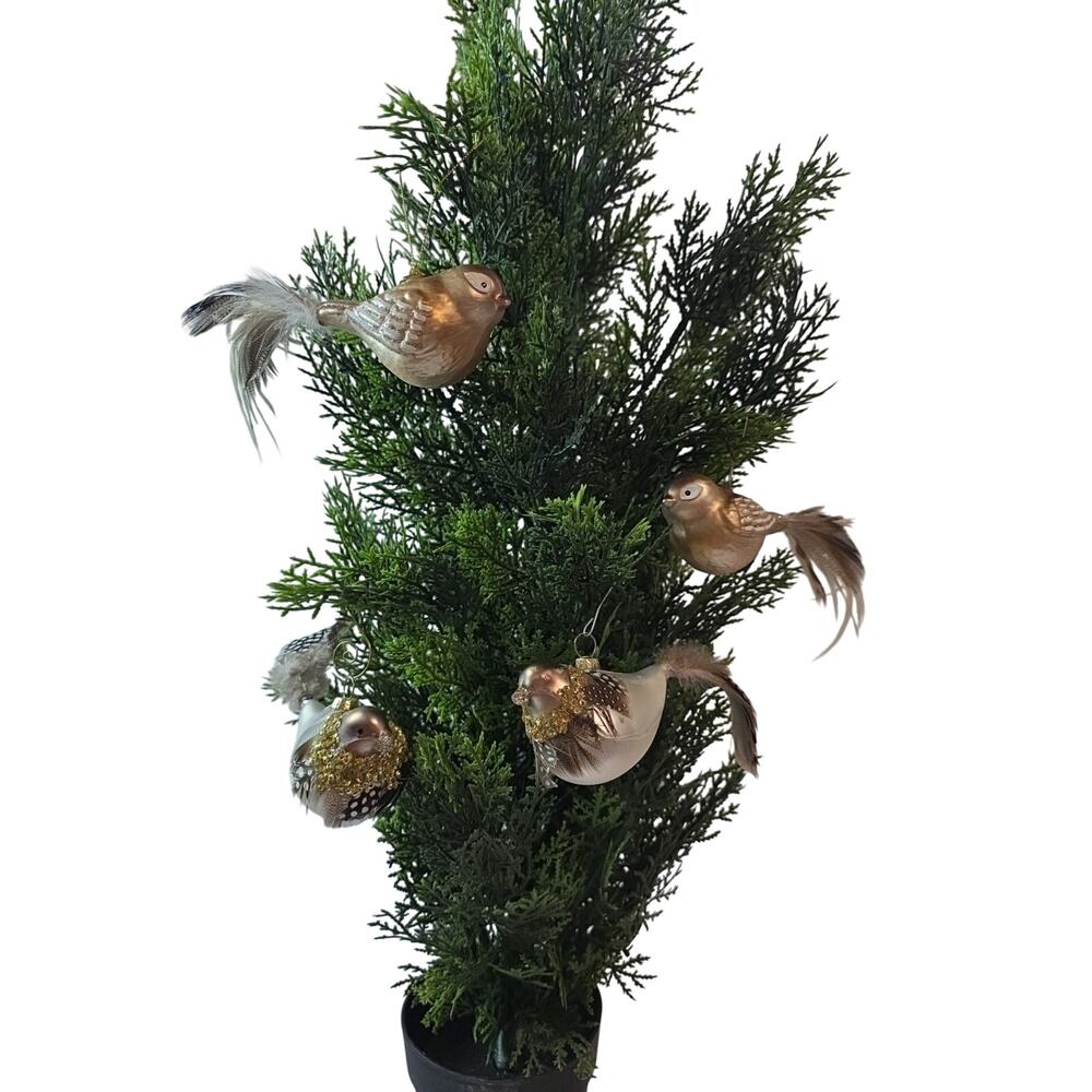 4 Bird Ornaments With Long Feathers 6" Tree Not Included